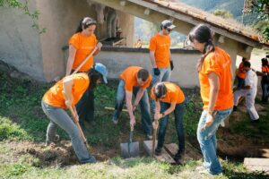 Jornadas Agroecológicas – voluntariado en fincas sociales para empresas | Wind Cat Activities