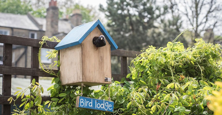 Cajas Nido y Comederos – RSC medioambiental para equipos de empresa | Wind Cat Activities