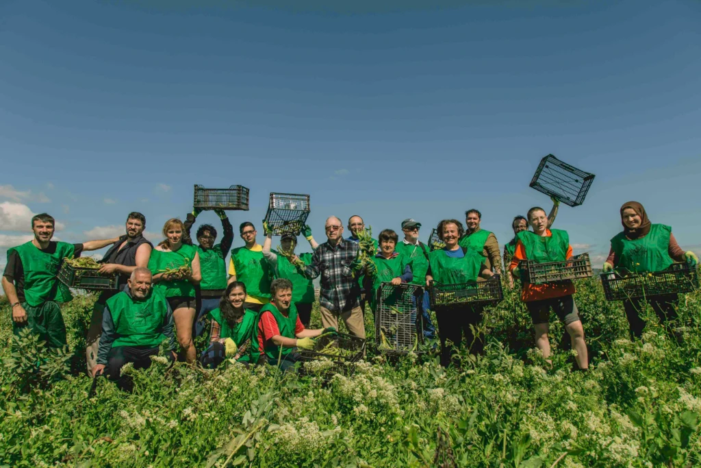 Voluntariado Alimentario – RSC con impacto social para empresas | Wind Cat Activities