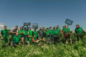 Voluntariado Alimentario – RSC con impacto social para empresas | Wind Cat Activities