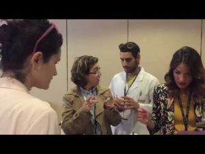 Escape Room Portátil – enigmas en equipo, actividad de team building | Wind Cat Activities