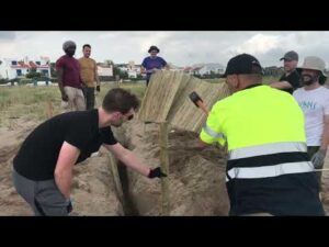 Voluntariado Medioambiental – RSC empresarial con impacto real | Wind Cat Activities