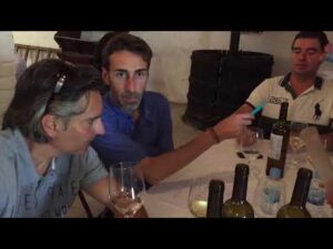 Winemaker for a Day – vendimia y enología, team building gastronómico | Wind Cat Activities