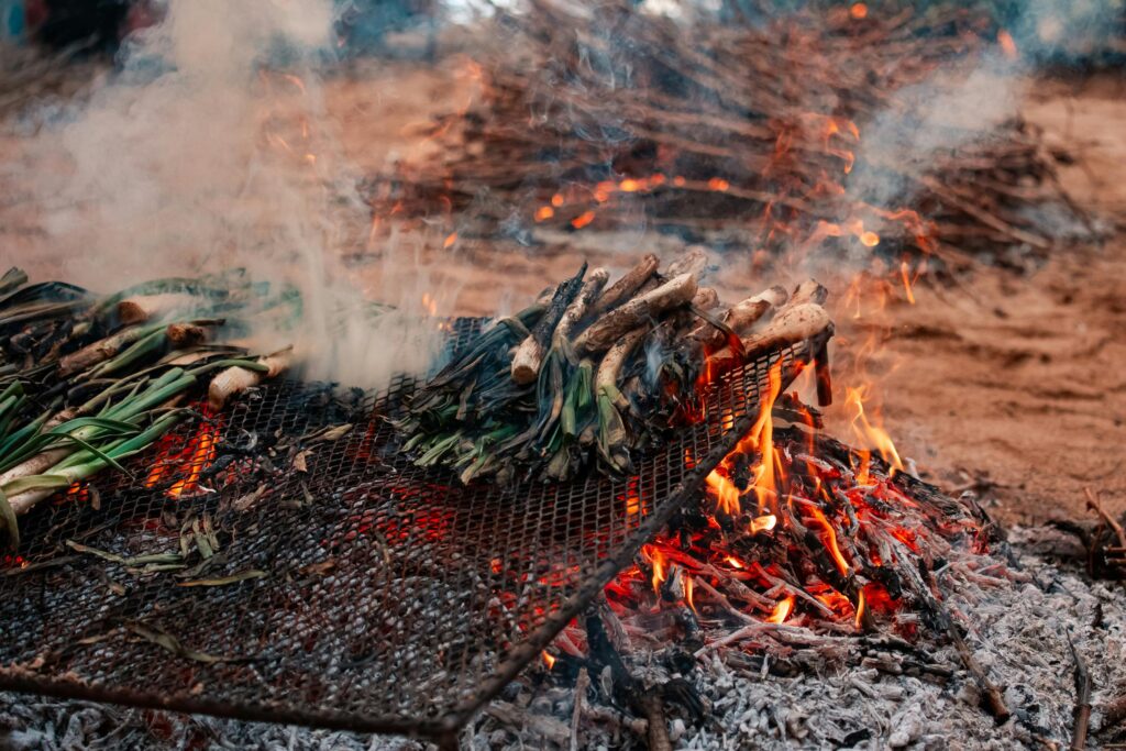 Grilled vegetables over open flame, showcasing a rustic outdoor cooking method.