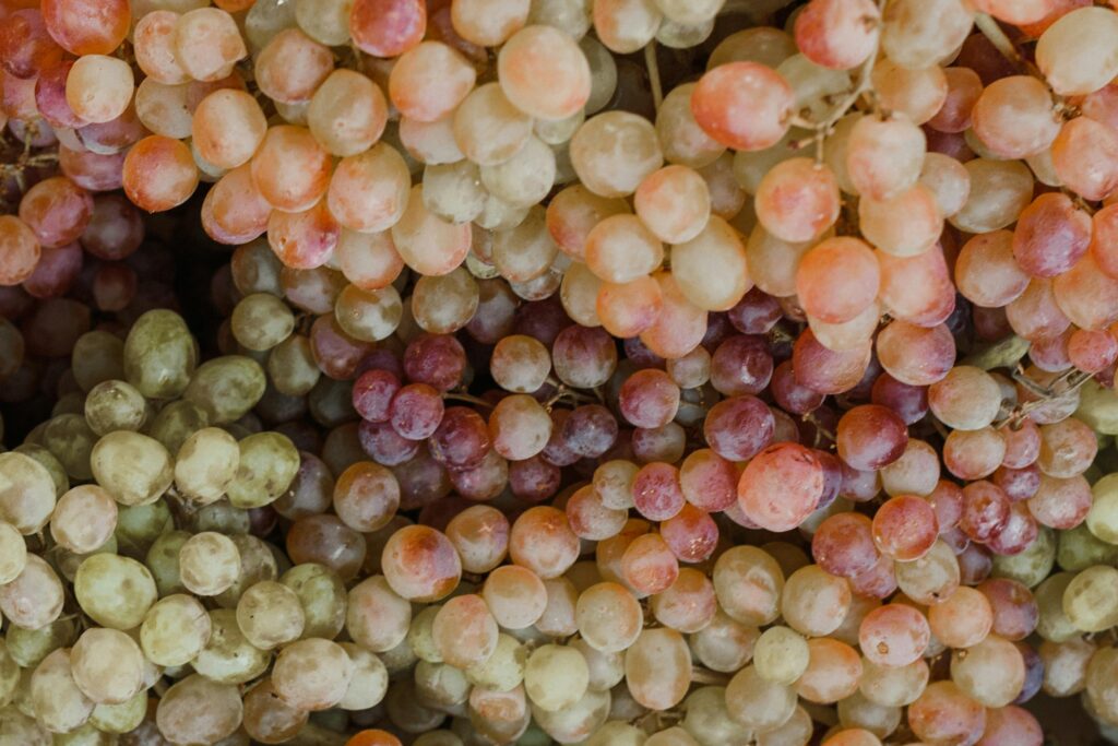Vibrant close-up of various colored grape bunches, perfect for health and organic themes.